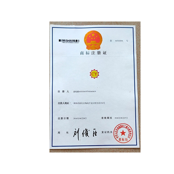 公司證書 (2)