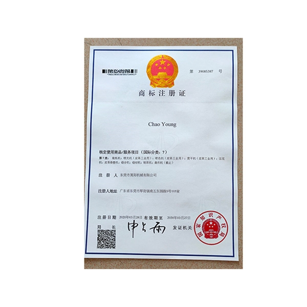 公司證書(shū) (4)